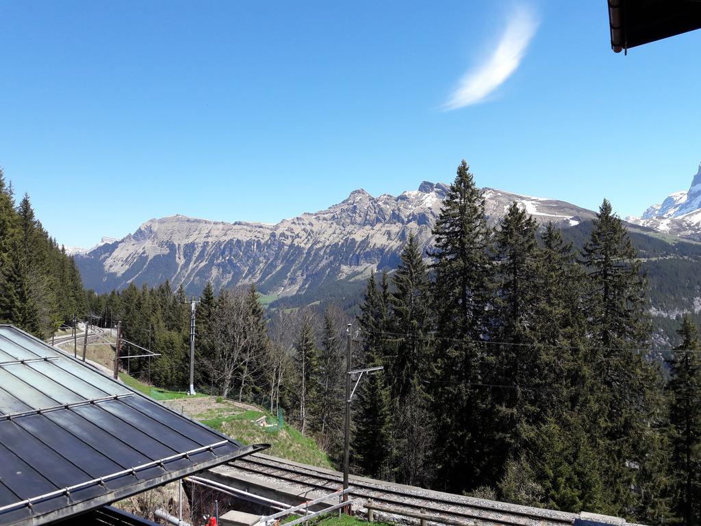 HOTEL ALPENBLICK MURREN МЮРРЕН