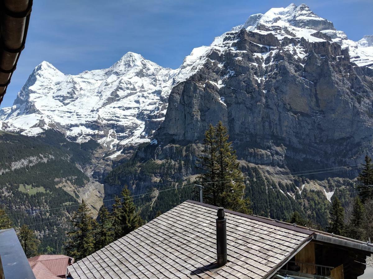 HOTEL ALPENBLICK MURREN МЮРРЕН